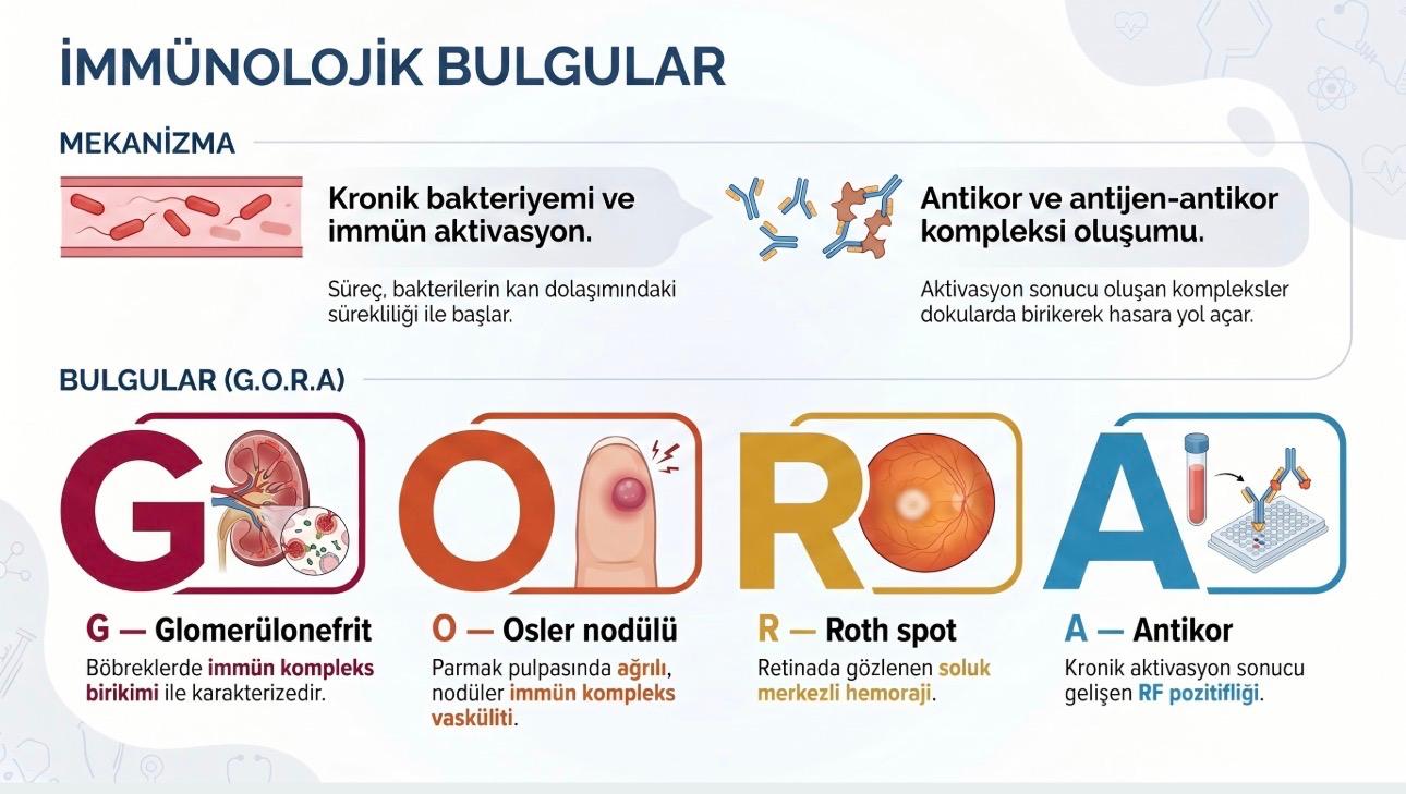 İmmünolojik bulgular orijinal Frame örneği